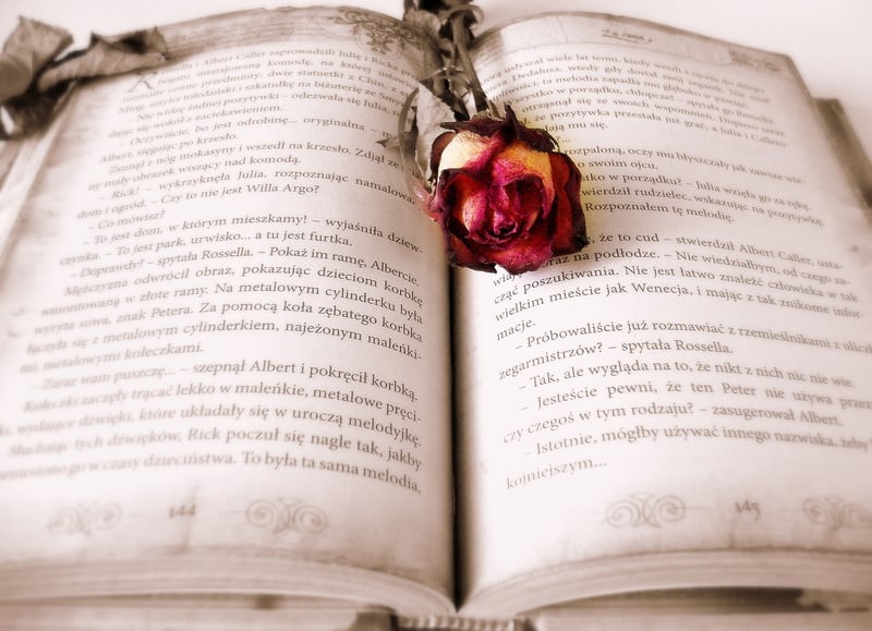 Vintage Book Wall Art